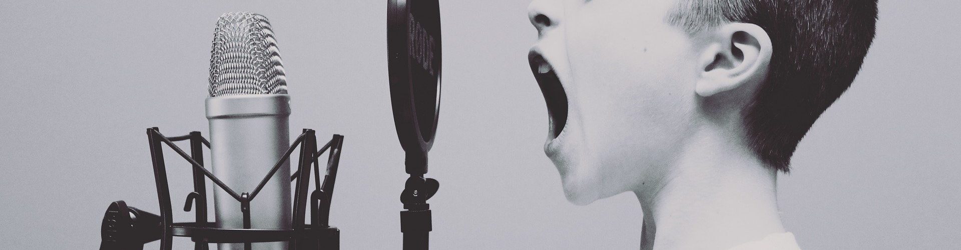 Develop'on, formation pour artistes